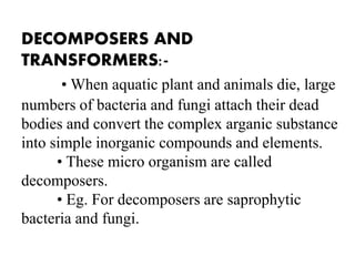 Environmental studies-AQUATIC ECOSYSTEM,THEIR TYPES AND THEIR IMPORTANCE.