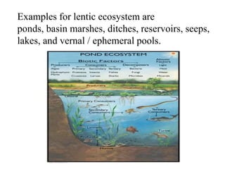 Environmental studies-AQUATIC ECOSYSTEM,THEIR TYPES AND THEIR IMPORTANCE.