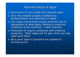 Adverse effects of algae
Adverse effects of algae

 Occurrence of very turbid and coloured water.
Occurrence of very turbid and coloured water.

 Give rise unstable oxygen conditions by
Give rise unstable oxygen conditions by
photosynthesis and respiration of algae
photosynthesis and respiration of algae

 Can cause overstrained oxygen economy due to
Can cause overstrained oxygen economy due to
degradation of dead algae, leading to anaerobic
degradation of dead algae, leading to anaerobic
conditions at the sediment
conditions at the sediment –
– water interface
water interface

 Production of organic compound with chelating
Production of organic compound with chelating
properties. Other algae can for gels which can clog
properties. Other algae can for gels which can clog
rapid sand filters
rapid sand filters

 Blue green algae if prevalent are capable of
Blue green algae if prevalent are capable of
forming toxins.
forming toxins.
 