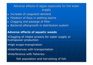 Adverse effects of algae especially for the water
Adverse effects of algae especially for the water
supply
supply

 Increase of coagulant demand
Increase of coagulant demand

 Flotation of
Flotation of flocs
flocs in settling basins
in settling basins

 Clogging and passage of filter
Clogging and passage of filter

 Bacterial
Bacterial aftergrowth
aftergrowth in distribution system
in distribution system
Adverse effects of aquatic weeds
•Clogging of intake screens for water supply or
hydropower production
•High evapo-transpiration
•Interferences with transportation
•Interference with fisheries:
fish population and harvesting of fish
 