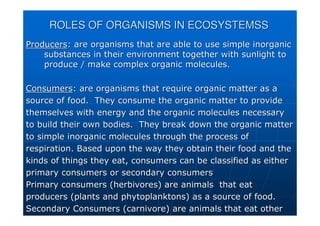 ROLES OF ORGANISMS IN ECOSYSTEMSS
ROLES OF ORGANISMS IN ECOSYSTEMSS
Producers
Producers: are organisms that are able to use simple inorganic
: are organisms that are able to use simple inorganic
substances in their environment together with sunlight to
substances in their environment together with sunlight to
produce / make complex organic molecules.
produce / make complex organic molecules.
Consumers
Consumers: are organisms that require organic matter as a
: are organisms that require organic matter as a
source of food. They consume the organic matter to provide
source of food. They consume the organic matter to provide
themselves with energy and the organic molecules necessary
themselves with energy and the organic molecules necessary
to build their own bodies. They break down the organic matter
to build their own bodies. They break down the organic matter
to simple inorganic molecules through the process of
to simple inorganic molecules through the process of
respiration. Based upon the way they obtain their food and the
respiration. Based upon the way they obtain their food and the
kinds of things they eat, consumers can be classified as either
kinds of things they eat, consumers can be classified as either
primary consumers or secondary consumers
primary consumers or secondary consumers
Primary consumers (herbivores) are animals that eat
Primary consumers (herbivores) are animals that eat
producers (plants and
producers (plants and phytoplanktons
phytoplanktons) as a source of food.
) as a source of food.
Secondary Consumers (carnivore) are animals that eat other
Secondary Consumers (carnivore) are animals that eat other
 