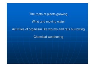 The roots of plants growing
The roots of plants growing
Wind and moving water
Wind and moving water
Activities of organism like worms and rats burrowing
Activities of organism like worms and rats burrowing
Chemical weathering
Chemical weathering
 