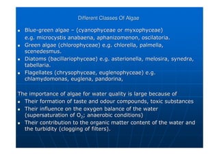 Different Classes Of Algae
Different Classes Of Algae

 Blue
Blue-
-green algae
green algae –
– (
(cyanophyceae
cyanophyceae or
or myxophyceae
myxophyceae)
)
e.g.
e.g. microcystis
microcystis anabaena,
anabaena, aphanizomenon
aphanizomenon,
, oscilatoria
oscilatoria.
.

 Green algae (
Green algae (chlorophyceae
chlorophyceae) e.g. chlorella,
) e.g. chlorella, palmella
palmella,
,
scenedesmus
scenedesmus.
.

 Diatoms (
Diatoms (bacillariophyceae
bacillariophyceae) e.g.
) e.g. asterionella
asterionella,
, melosira
melosira,
, synedra
synedra,
,
tabellaria
tabellaria.
.

 Flagellates (
Flagellates (chrysophyceae
chrysophyceae,
, euglenophyceae
euglenophyceae) e.g.
) e.g.
chlamydomonas
chlamydomonas, euglena,
, euglena, pandorina
pandorina,
,
The importance of algae for water quality is large because of
The importance of algae for water quality is large because of

 Their formation of taste and odour compounds, toxic substances
Their formation of taste and odour compounds, toxic substances

 Their influence on the oxygen balance of the water
Their influence on the oxygen balance of the water
(
(supersaturation
supersaturation of O
of O2
2; anaerobic conditions)
; anaerobic conditions)

 Their contribution to the organic matter content of the water an
Their contribution to the organic matter content of the water and
d
the turbidity (clogging of filters).
the turbidity (clogging of filters).
 