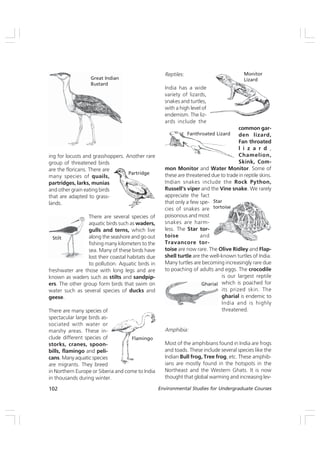 102 Environmental Studies for Undergraduate Courses
ing for locusts and grasshoppers. Another rare
group of threatened birds
are the floricans. There are
many species of quails,
partridges, larks, munias
and other grain eating birds
that are adapted to grass-
lands.
There are several species of
aquatic birds such as waders,
gulls and terns, which live
along the seashore and go out
fishing many kilometers to the
sea. Many of these birds have
lost their coastal habitats due
to pollution. Aquatic birds in
freshwater are those with long legs and are
known as waders such as stilts and sandpip-
ers. The other group form birds that swim on
water such as several species of ducks and
geese.
There are many species of
spectacular large birds as-
sociated with water or
marshy areas. These in-
clude different species of
storks, cranes, spoon-
bills, flamingo and peli-
cans. Many aquatic species
are migrants. They breed
in Northern Europe or Siberia and come to India
in thousands during winter.
Reptiles:
India has a wide
variety of lizards,
snakes and turtles,
with a high level of
endemism. The liz-
ards include the
common gar-
den lizard,
Fan throated
l i z a r d ,
Chamelion,
Skink, Com-
mon Monitor and Water Monitor. Some of
these are threatened due to trade in reptile skins.
Indian snakes include the Rock Python,
Russell’s viper and the Vine snake. We rarely
appreciate the fact
that only a few spe-
cies of snakes are
poisonous and most
snakes are harm-
less. The Star tor-
toise and
Travancore tor-
toise are now rare. The Olive Ridley and Flap-
shell turtle are the well-known turtles of India.
Many turtles are becoming increasingly rare due
to poaching of adults and eggs. The crocodile
is our largest reptile
which is poached for
its prized skin. The
gharial is endemic to
India and is highly
threatened.
Amphibia:
Most of the amphibians found in India are frogs
and toads. These include several species like the
Indian Bull frog, Tree frog, etc. These amphib-
ians are mostly found in the hotspots in the
Northeast and the Western Ghats. It is now
thought that global warming and increasing lev-
Star
tortoise
Gharial
Great Indian
Bustard
Stilt
Flamingo
Monitor
Lizard
Fanthroated Lizard
Partridge
 