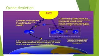 Ozone depletion
 
