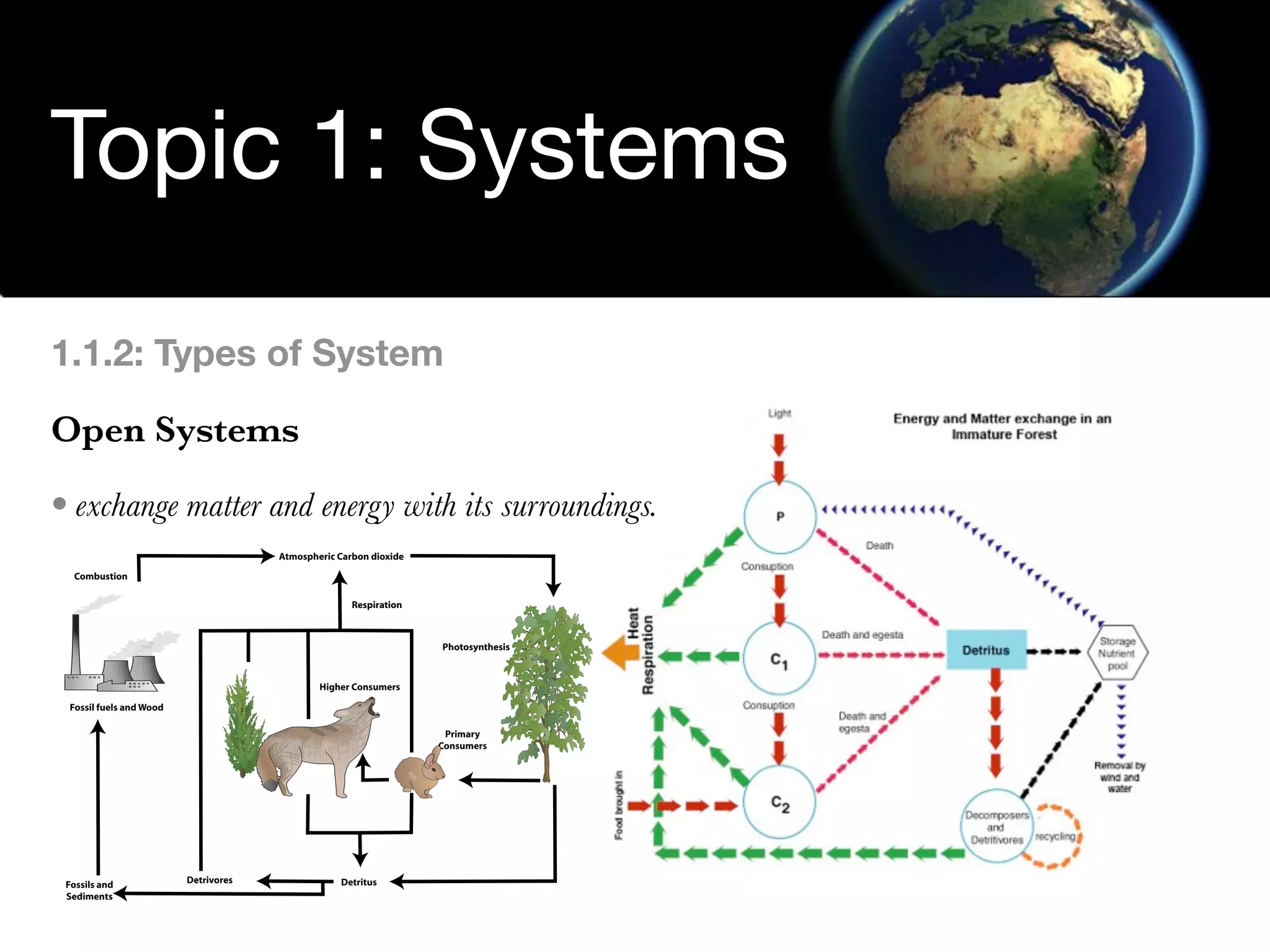 Environmental Systems
