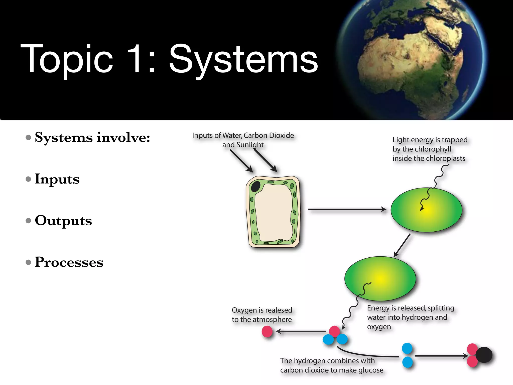Environmental Systems