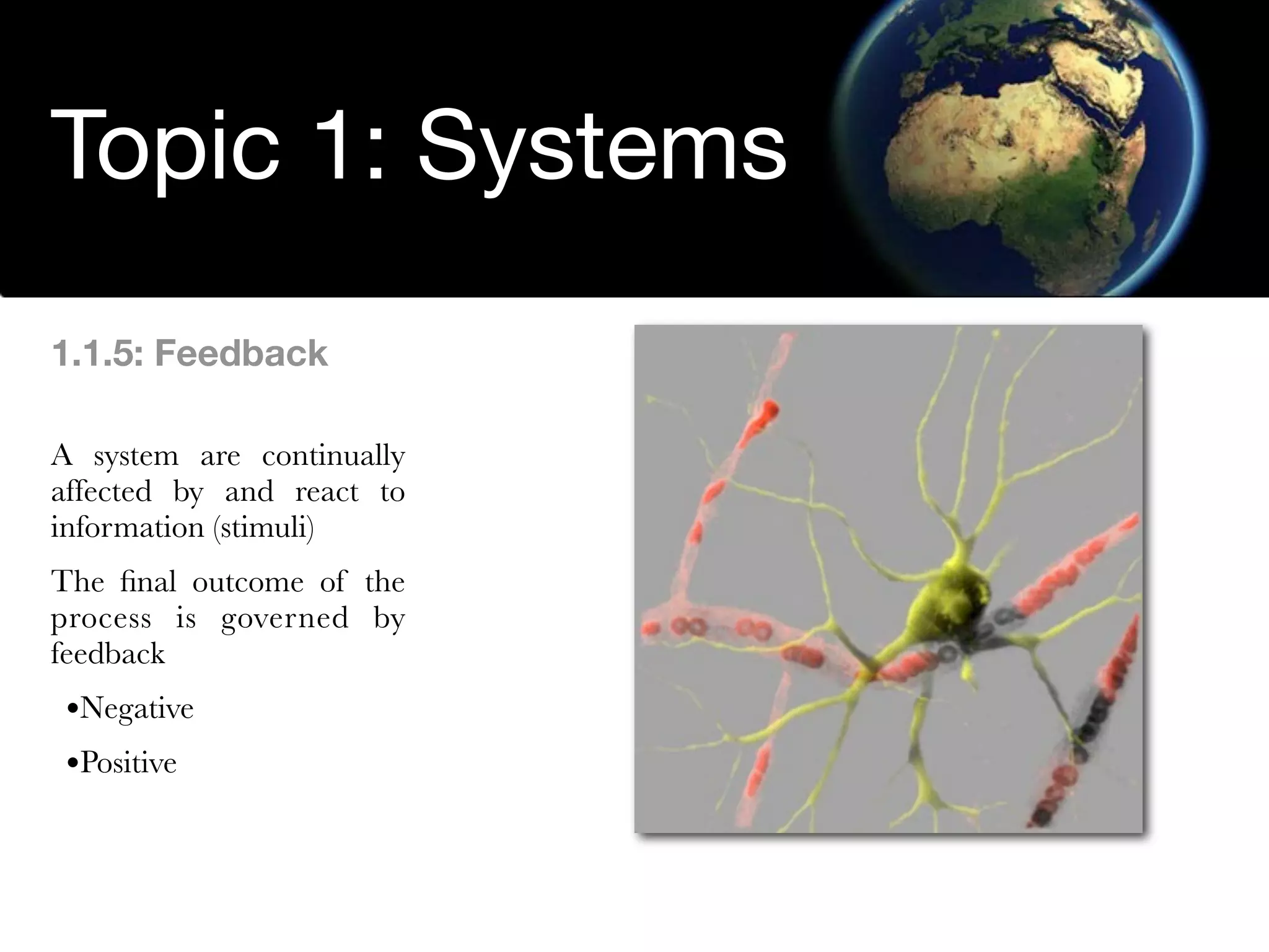 Environmental Systems