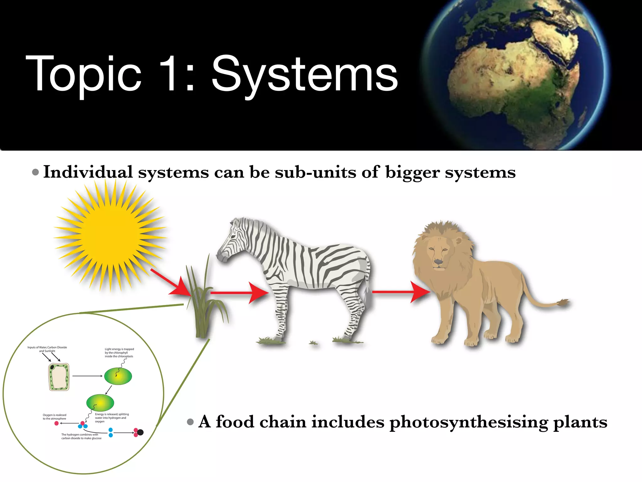 Environmental Systems