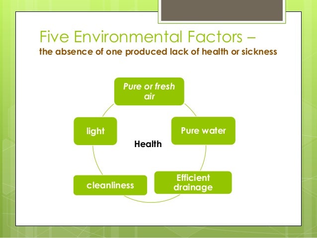 florence nightingale environmental theory florence nightingale environmental theory