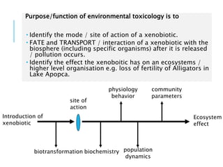 Ecotoxicologic Ecotoxicology | PPTX