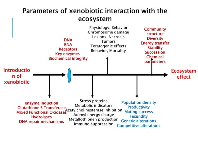 Ecotoxicology