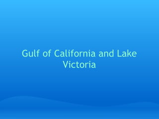 Gulf of California and Lake
          Victoria
 