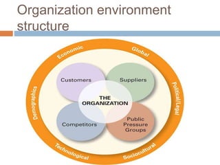 Organization environment
structure
 