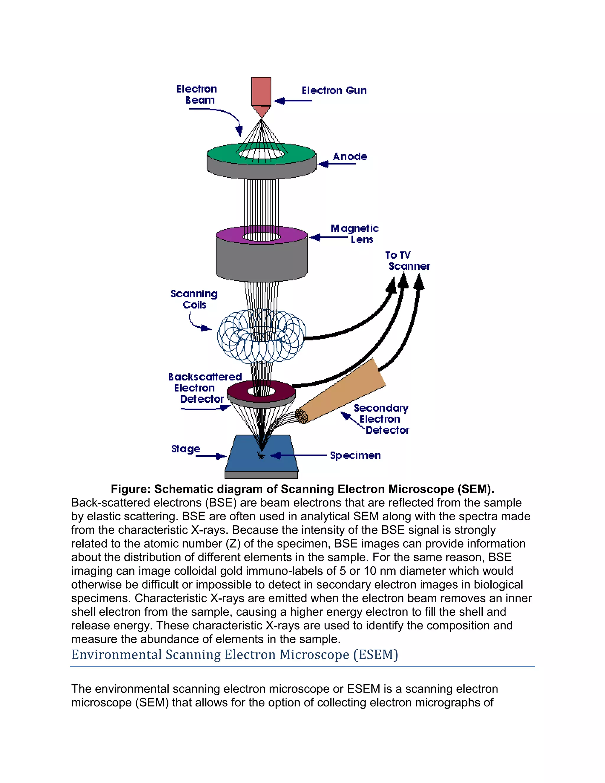 Figure: Schematic diagram of Scanning Electron Microscope (SEM).
Back-scattered electrons (BSE) are beam electrons that are reflected from the sample
by elastic scattering. BSE are often used in analytical SEM along with the spectra made
from the characteristic X-rays. Because the intensity of the BSE signal is strongly
related to the atomic number (Z) of the specimen, BSE images can provide information
about the distribution of different elements in the sample. For the same reason, BSE
imaging can image colloidal gold immuno-labels of 5 or 10 nm diameter which would
otherwise be difficult or impossible to detect in secondary electron images in biological
specimens. Characteristic X-rays are emitted when the electron beam removes an inner
shell electron from the sample, causing a higher energy electron to fill the shell and
release energy. These characteristic X-rays are used to identify the composition and
measure the abundance of elements in the sample.
Environmental Scanning Electron Microscope (ESEM)
The environmental scanning electron microscope or ESEM is a scanning electron
microscope (SEM) that allows for the option of collecting electron micrographs of
 