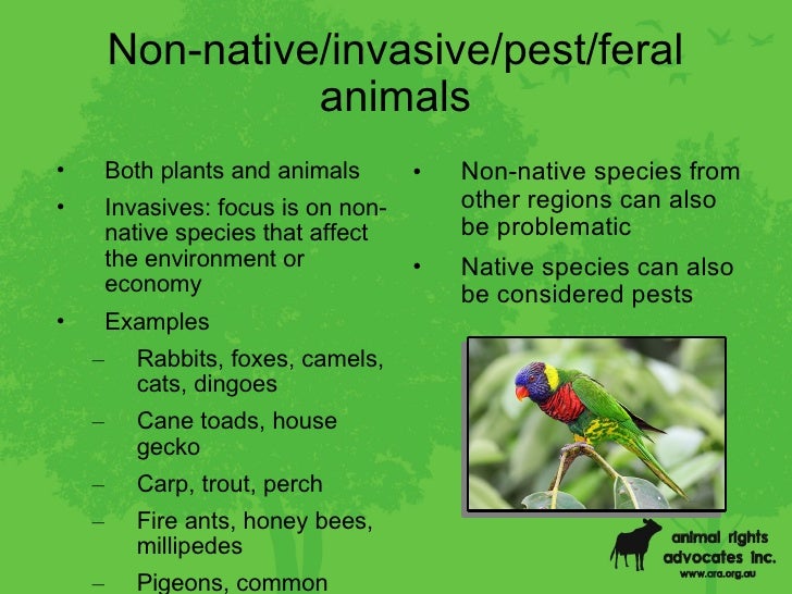Environment and Animal Rights Presentation