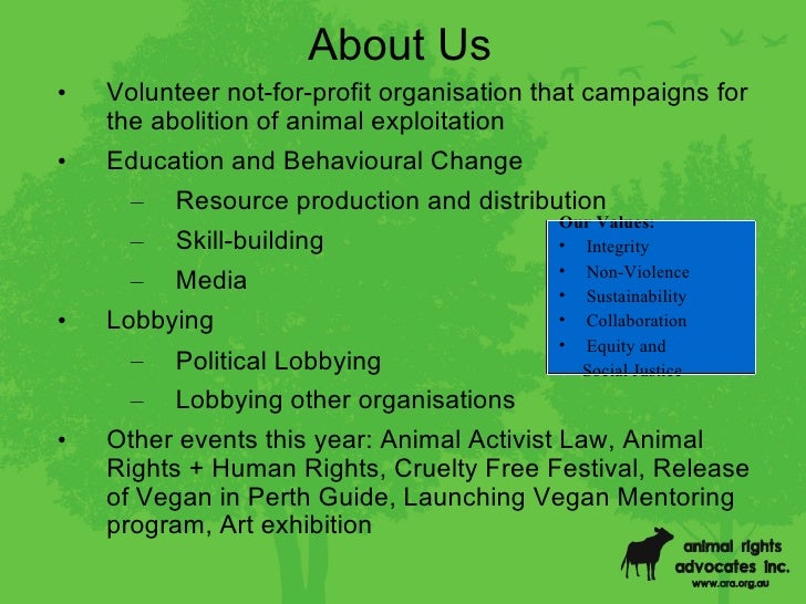 Essay on animal rights vs human rights