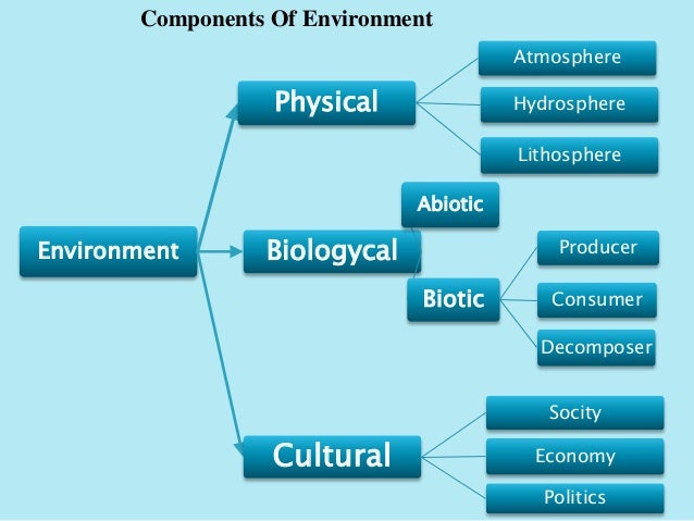 Environment And Its Components