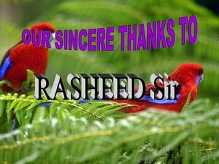 OUR SINCERE THANKS TO RASHEED Sir OUR SINCERE THANKS TO RASHEED Sir 