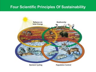 Four Scientific Principles Of Sustainability
 