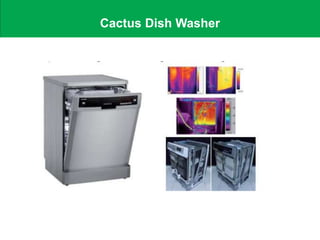 Cactus Dish Washer
 