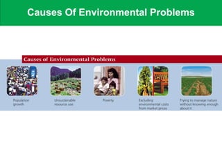 Causes Of Environmental Problems
 