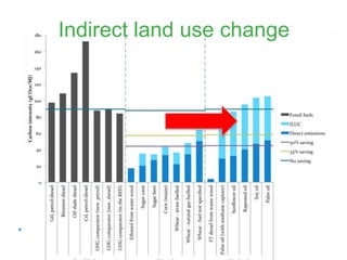 www.transportenvironment.org
Indirect land use change
 
