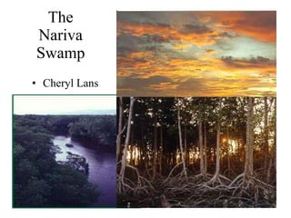 The Nariva Swamp ,[object Object]