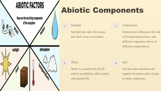 Abiotic Components
1 Sunlight
Sunlight provides the energy
that fuels most ecosystems.
2 Temperature
Temperature influences the rate
of biological processes, and
different organisms thrive at
different temperatures.
3 Water
Water is essential for all life
and its availability affects plant
and animal life.
4 Soil
Soil provides nutrients and
support for plants and is home
to many organisms.
 