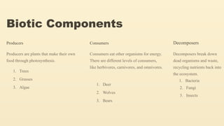 Biotic Components
Producers
Producers are plants that make their own
food through photosynthesis.
1. Trees
2. Grasses
3. Algae
Consumers
Consumers eat other organisms for energy.
There are different levels of consumers,
like herbivores, carnivores, and omnivores.
1. Deer
2. Wolves
3. Bears
Decomposers
Decomposers break down
dead organisms and waste,
recycling nutrients back into
the ecosystem.
1. Bacteria
2. Fungi
3. Insects
 