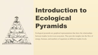 Introduction to
Ecological
Pyramids
Ecological pyramids are graphical representations that show the relationships
between trophic levels in an ecosystem. They provide insights into the flow of
energy, biomass, and numbers of organisms at different trophic levels.
 