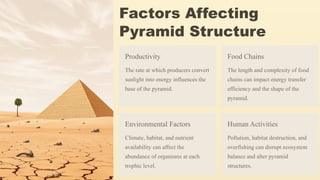 Factors Affecting
Pyramid Structure
Productivity
The rate at which producers convert
sunlight into energy influences the
base of the pyramid.
Food Chains
The length and complexity of food
chains can impact energy transfer
efficiency and the shape of the
pyramid.
Environmental Factors
Climate, habitat, and nutrient
availability can affect the
abundance of organisms at each
trophic level.
Human Activities
Pollution, habitat destruction, and
overfishing can disrupt ecosystem
balance and alter pyramid
structures.
 