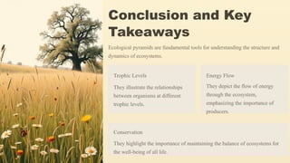 Conclusion and Key
Takeaways
Ecological pyramids are fundamental tools for understanding the structure and
dynamics of ecosystems.
Trophic Levels
They illustrate the relationships
between organisms at different
trophic levels.
Energy Flow
They depict the flow of energy
through the ecosystem,
emphasizing the importance of
producers.
Conservation
They highlight the importance of maintaining the balance of ecosystems for
the well-being of all life.
 