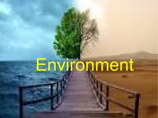 Environment
 