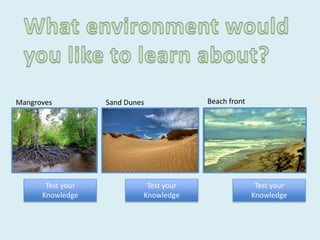 Mangroves Sand Dunes Beach front
Test your
Knowledge
Test your
Knowledge
Test your
Knowledge
 