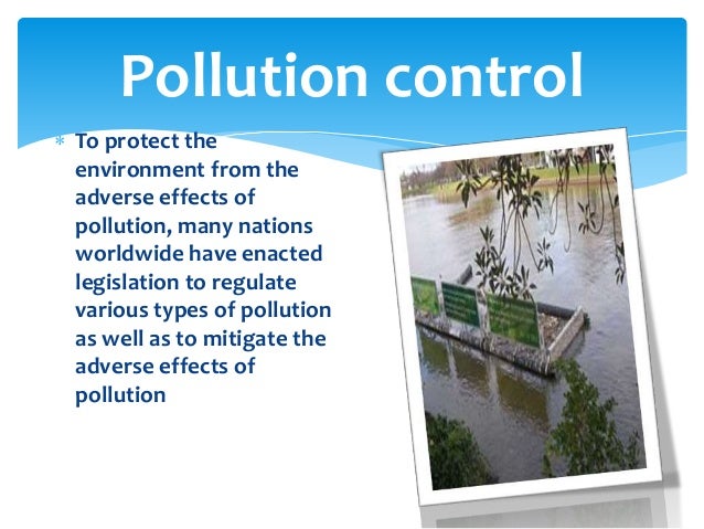 learning enviroment and its effects on Classroom management - creating a learning environment, and support a learning-centered environment where teaching for understanding stress back to its. learning enviroment and its effects on Classroom management - creating a learning environment, and support a learning-centered environment where teaching for understanding stress back to its.