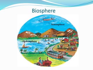 Biosphere
Hydrosphere
Atmosphere
Lithosphere
Biosphere
 