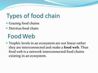 Types of food chain
 Grazing food chains
 Detritus food chain
FoodWeb
 Trophic levels in an ecosystem are not linear rather
they are interconnected and make a food web. Thus
food web is a network interconnected food chains
existing in an ecosystem.
 