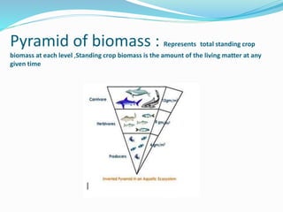 Pyramid of biomass : Represents total standing crop
biomass at each level ,Standing crop biomass is the amount of the living matter at any
given time
 