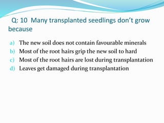 Q: 10 Many transplanted seedlings don’t grow
because
a) The new soil does not contain favourable minerals
b) Most of the root hairs grip the new soil to hard
c) Most of the root hairs are lost during transplantation
d) Leaves get damaged during transplantation
 