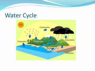Water Cycle
 