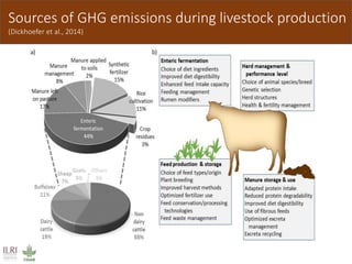 Livestock and greenhouse gas emissions
