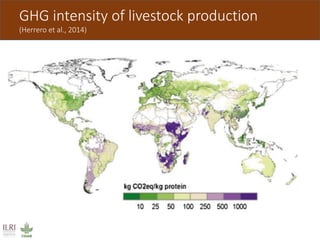 Livestock and greenhouse gas emissions