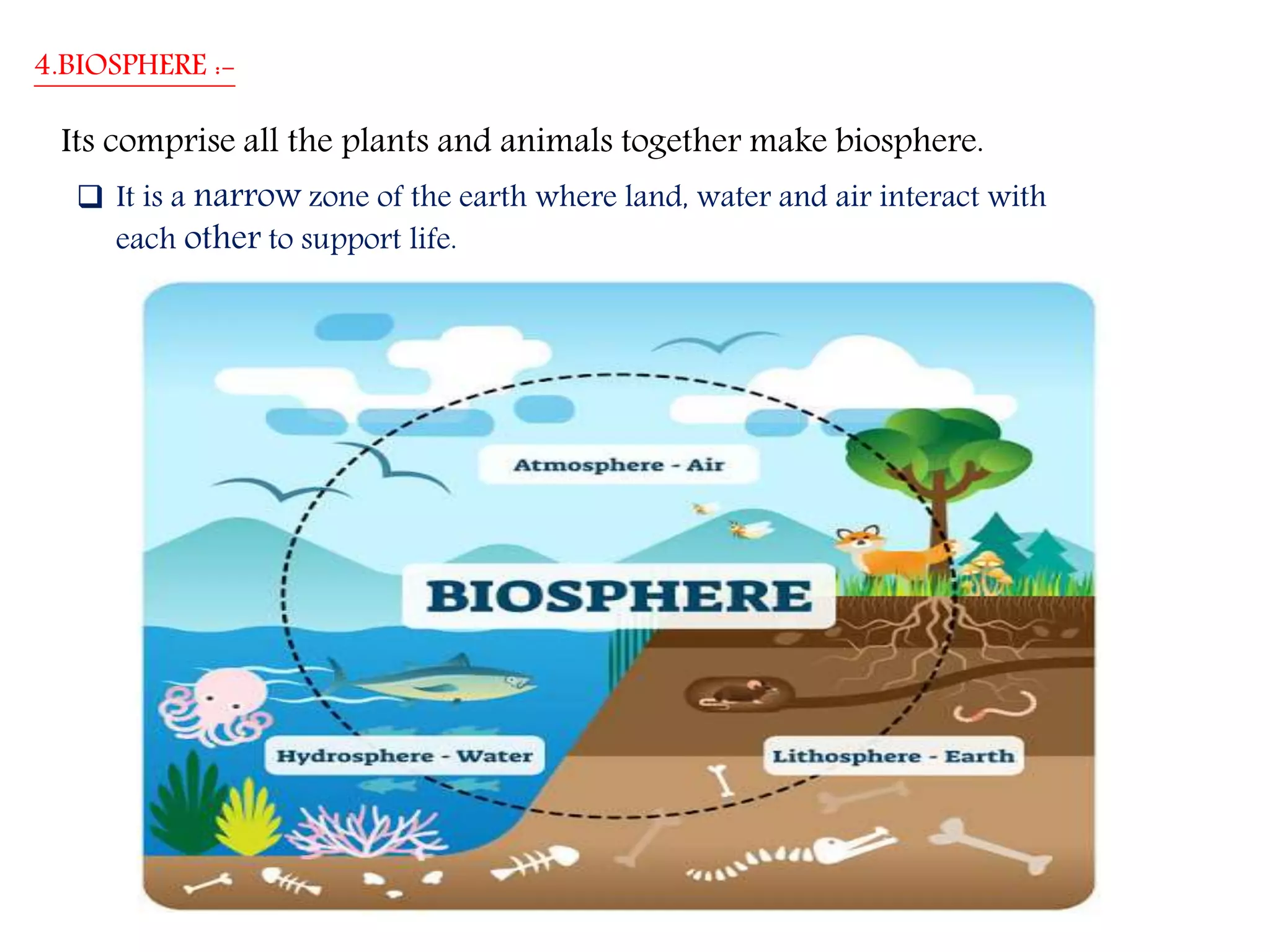 Environment (chapter 1, class vii)