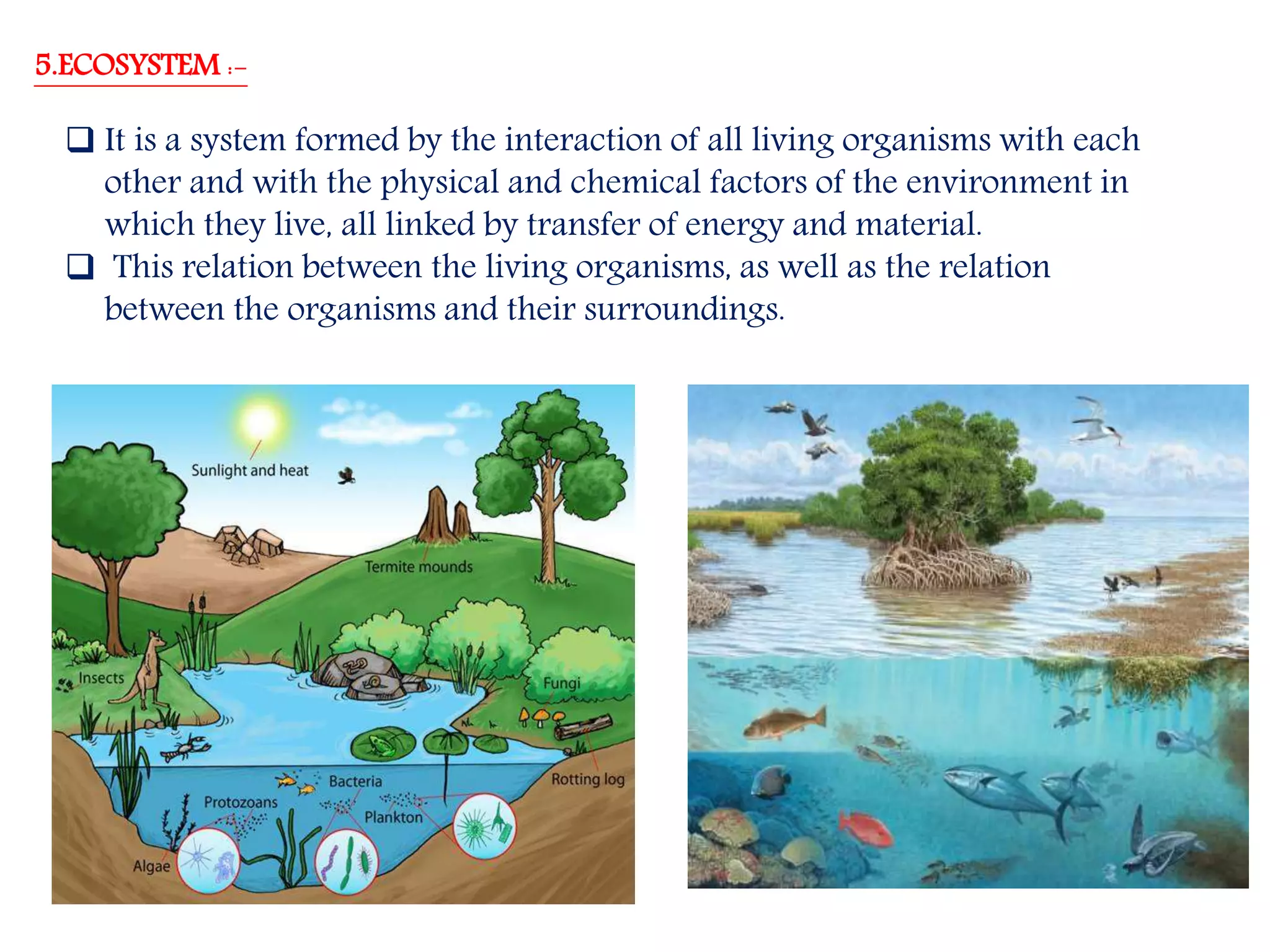 Environment (chapter 1, class vii)