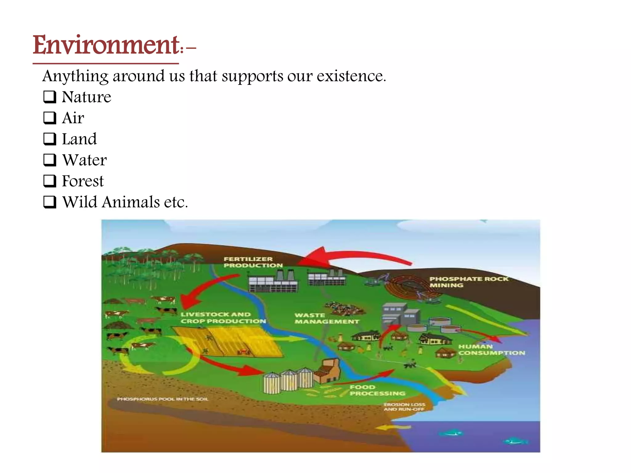 Environment (chapter 1, class vii)