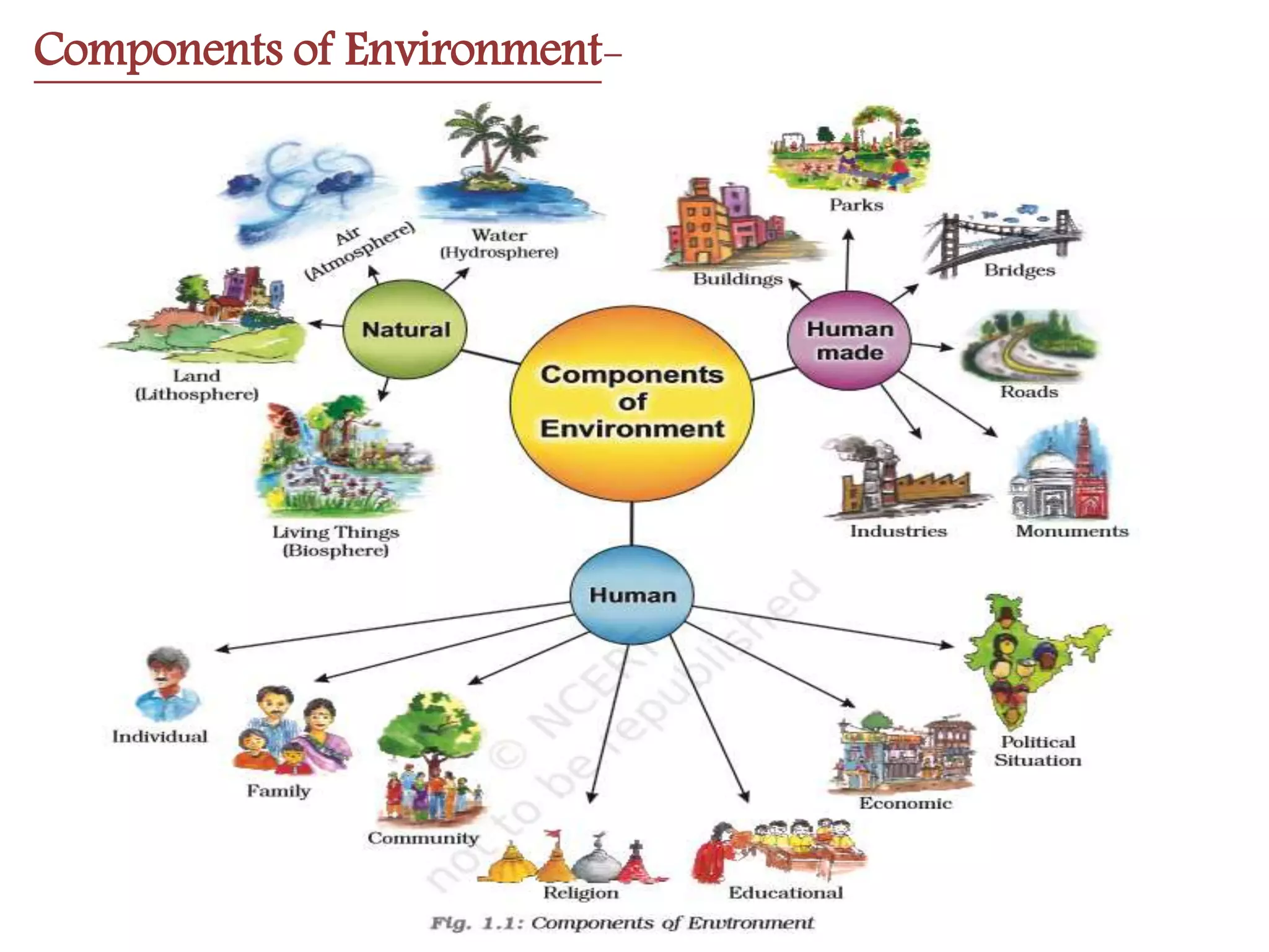 Environment (chapter 1, class vii)