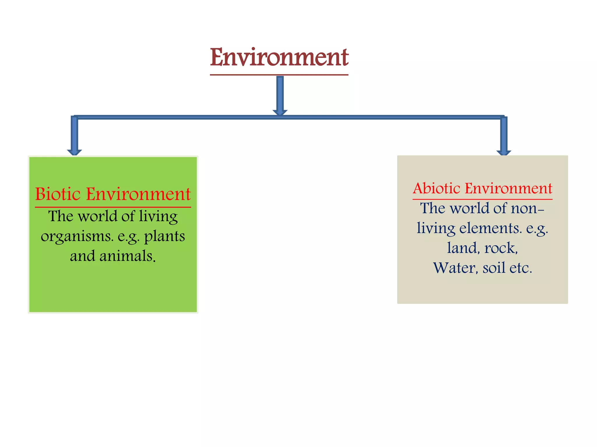 Environment (chapter 1, class vii)