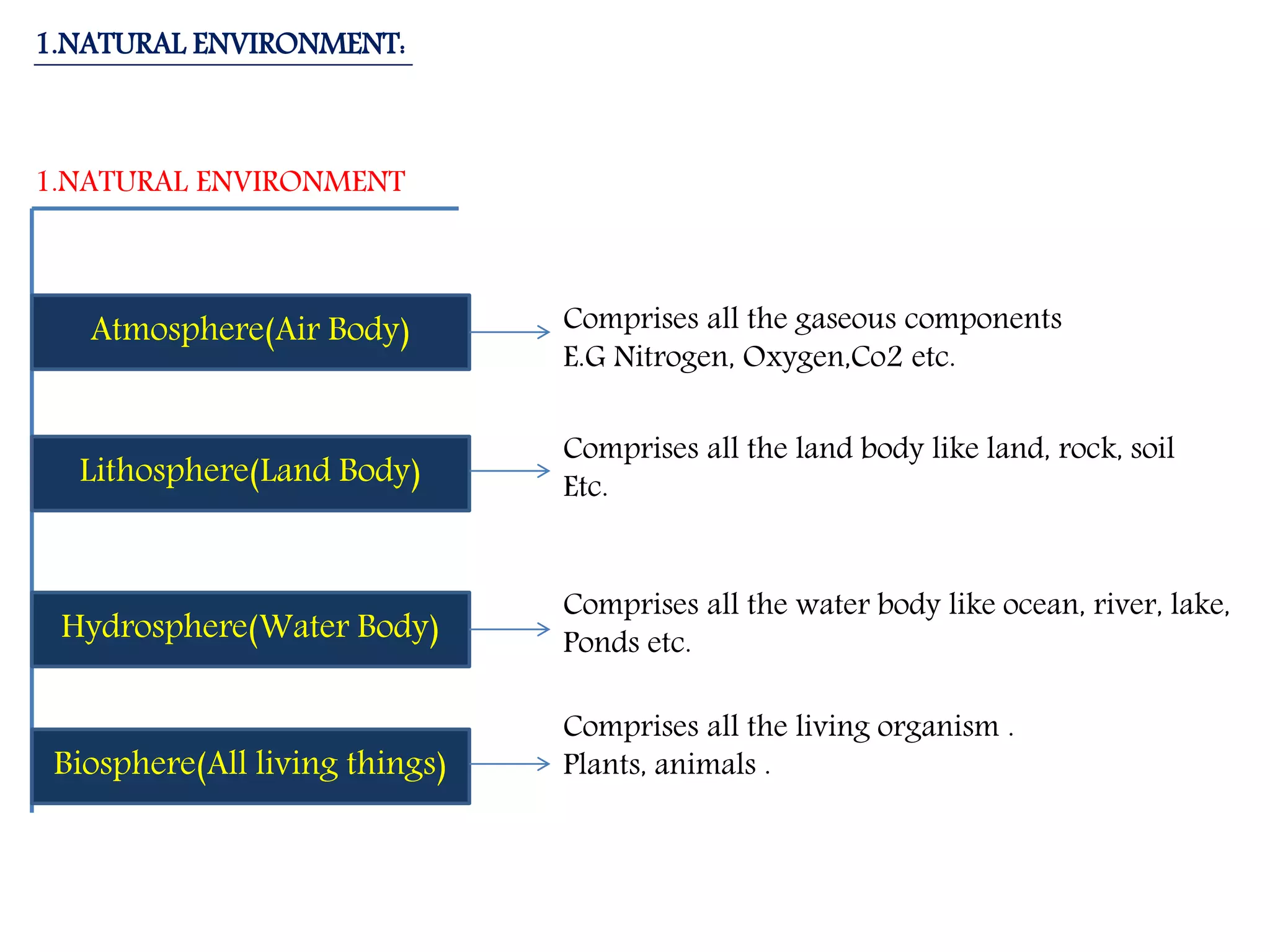 Environment (chapter 1, class vii)