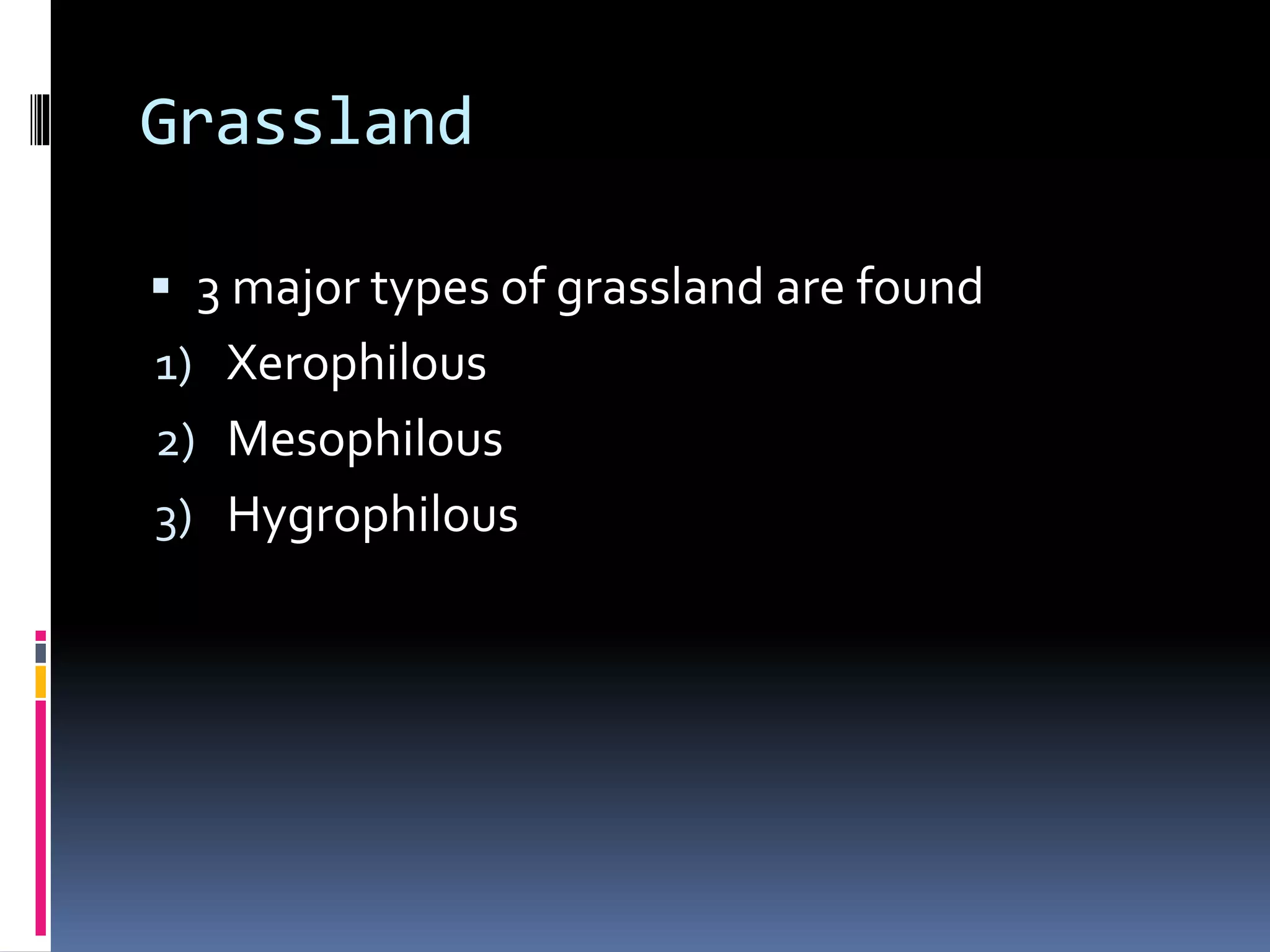 Grassland
 3 major types of grassland are found
1) Xerophilous
2) Mesophilous
3) Hygrophilous
 
